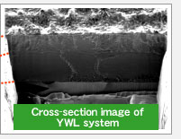 Cross-section image of YWL system
