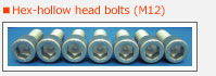 Hex-hollow head bolts (M12)