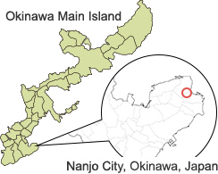 Okinawa Main Island
