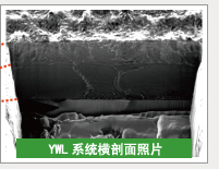 YWL系统横剖面照片
